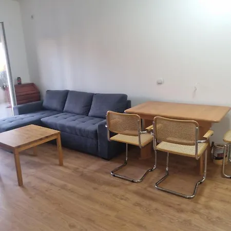 Lion Apartment